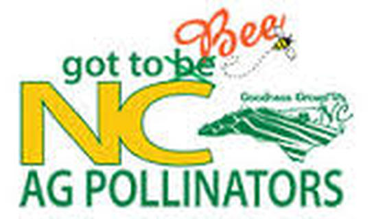 NC, Bee, Pollinators